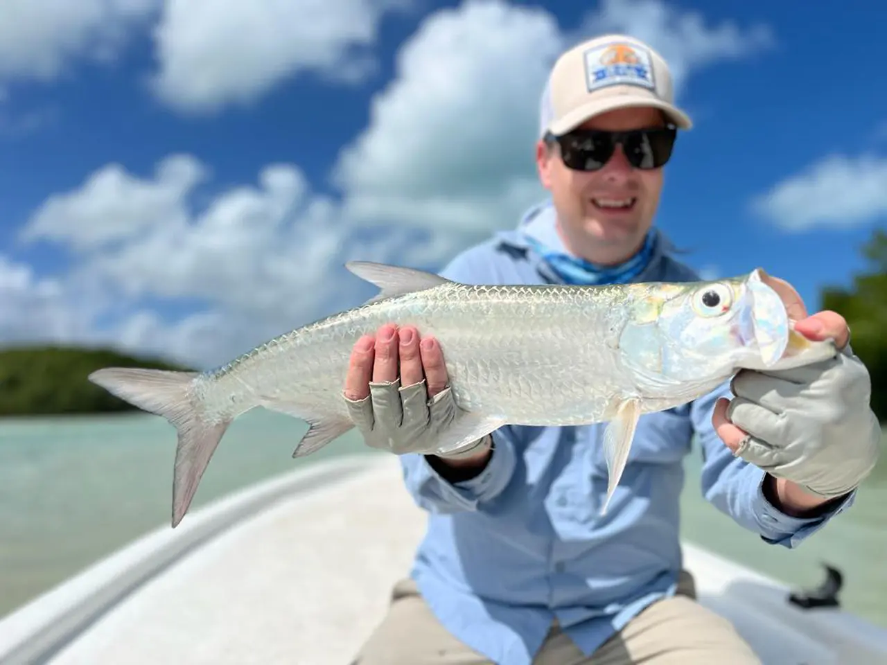 Beautiful Baby Tarpon